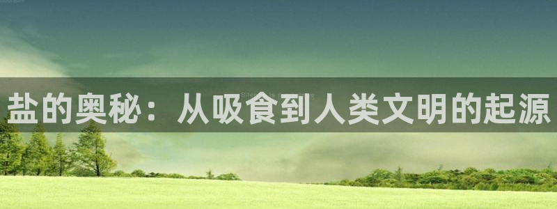 威九国际网站入口官网免费下载