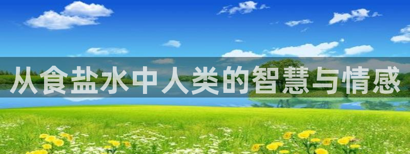 威九国际旗下艺人