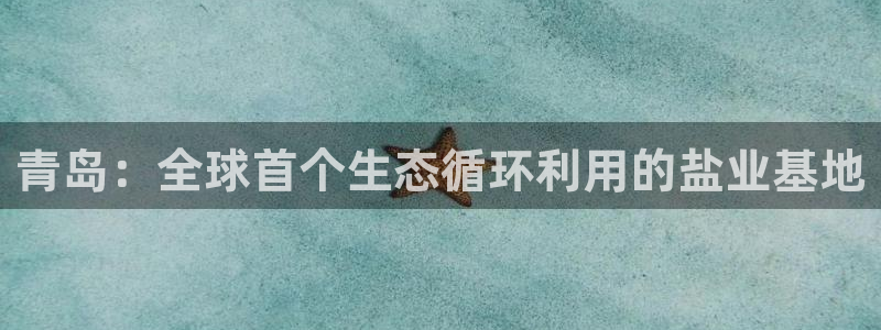 威九国际ppt免费