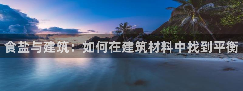 威九国际X8