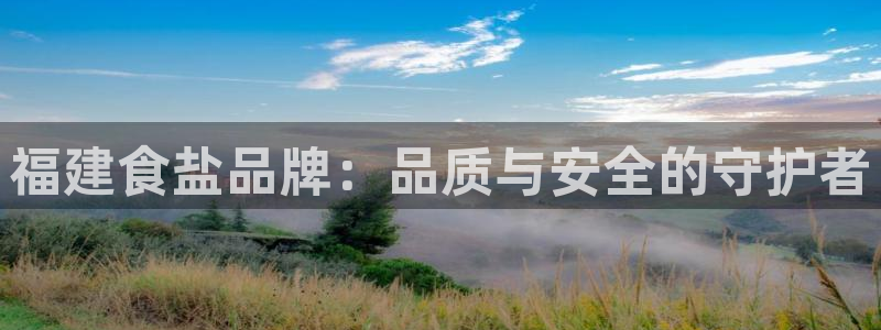 保定威九网络科技有限公司怎么样